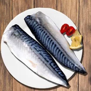 🌊挪威鮮嫩無刺鯖魚片🐟🐟🐟