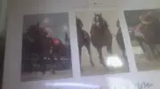 20x24 triple crown poster Justify autographed mike smith and bob baffert