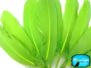 1/4 lb - Lime Green Goose Satinettes Wholesale Loose Wing Feathers Craft Quill