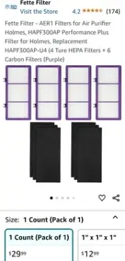Fette Filter Holmes AER1 HEPA Carbon Booster Filters