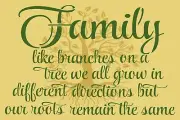 REUSABLE STENCIL 9402AK 12x18 Family Branches DIY MYLAR SIGN STENCILS Overlay