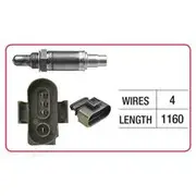 RAE Oxygen Sensor - OX566