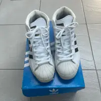 在飛比找蝦皮購物優惠-櫃上購入 adidas Originals Supersta