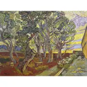 Vincent Van Gogh The Garden Of Saint Pauls Hospital XL Print Canvas Mural