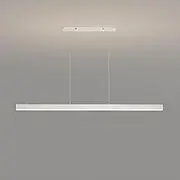 Modern Simple LED Chandelier Dimmable Pendant Light with Remote Control(White,80cm)