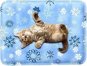 Cat Cooling Mat,Scratch-Resistant Water-Filled Dog Cooling Pad - Soft High-Density Cushion for Puppy Kitten Sleeping Playing Resting