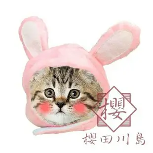 寵物帽子可愛動物造型變身裝帽貓咪草帽獅子帽頭飾【櫻田川島】