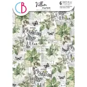Ciao Bella Cabinet Of Curiosities A4 Vellum Paper Patterns 6pc Background Paper