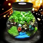 【微景小舖】苔蘚微景觀生態瓶 玻璃瓶 帶燈玻璃瓶 DIY材料包 植物造景 微景觀帶燈木塞瓶 DIY組合 組盆