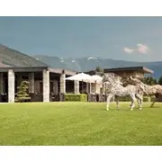 Jiva Hill Resort - Genève