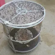 Ranch Fly Trap Insect Killer Net Cage Home Outdoor Bug Pest Hanging Catcher Cage