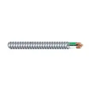 Wirenco 12/2 Metal Clad (MC) Cable with Aluminum Armor and Copper Conductors ...