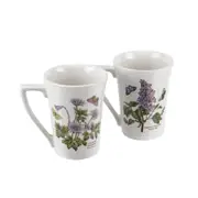 Portmeirion Botanic Garden Mug Mandarin Set of 2 (280ml)
