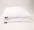 Serta Set of 2 Quilted Natural Fill Microfiber Pillows- Standard/Queen H441201