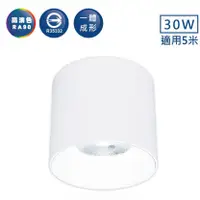 在飛比找蝦皮商城優惠-舞光 LED 神盾筒燈 黑/白 30W LED-CEA30D