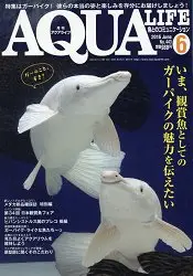 在飛比找樂天市場購物網優惠-AQUA LIFE 6月號2016