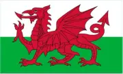 Wales Flag Vinyl Stickers car window laptop Welsh Dragon Cardiff Plaid Cymru