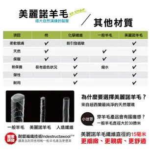 Smartwool 智慧羊毛 女機能戶外全輕量減震民族風印花中筒襪 淺灰 SW001580H85【野外營】羊毛襪