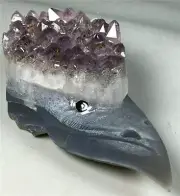 Natural Amethyst Agate Geode Quartz Crystal Cluster Point Carved Crow Skull bird