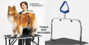 Master Equipment DOG GROOMER NO SIT ADJUSTABLE GROOMING SUPPORT SYSTEM For Table