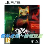 【PS5遊戲片】PS5 浪貓 STRAY ▶中文版二手中古◀雲林虎尾一間電玩館