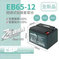 在飛比找蝦皮商城優惠-【CSP】EB65-12 銀合金膠體電池12V65Ah電動車