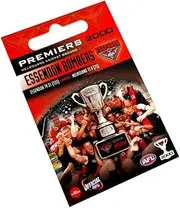 Essendon Bombers AFL Premiers 2000 Trophy Lapel Pin