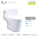 CAESAR 凱撒 C1353 省水單體馬桶 普級省水 SIAA抗菌便座 經典低水箱 不含安裝