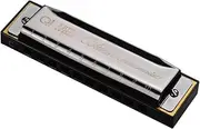 1020 Blues Harmonica Key of C 10 Holes 20 Tunes Diatonic Harp Mouthorgan with Cleaning Cloth and Storage Box Black Black