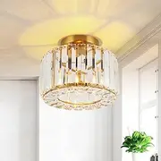 FORCOSO Crystal Ceiling Light Diameter 23 cm, Chandelier Gold with Metal Frame Lampshade, Base E27 Ceiling Light, Modern Lamp for Bedroom, Living Room, Hallway, Kitchen, Dining Room