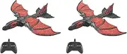 2X RC Plane 2.4G Simulated Flying Dragon Aircraft Remote Control Flying Model Glider Airplane EPP Foam Toys Gift