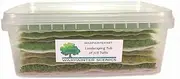 Warpainter scenics Landscape Tub of x728 Mixed Tuft Types, Self Adhesive Static Grass