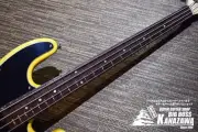 SCHECTER OL TB BSC R TL base