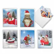 The Best Card Company - 36 Assorted Notecards Bulk Boxed Set 4 x 5.12 Inch wi...