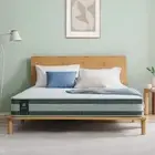 Zinus Green Single Mattress Chiro Pocket Spring Medium Foam