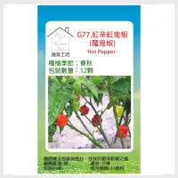 在飛比找momo購物網優惠-【蔬菜工坊】G77.紅辛紅鬼椒種子12顆(魔鬼椒)