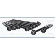 Austral Cylinder Head Bolt Set - 81024200