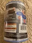 Intex PureSpa Type S1 Filter Cartridge Spa Replacement Cartridges 2 Pack 29001E