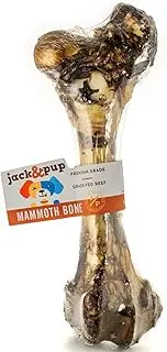 Jack & Pup Premium Grade Roasted Meaty Beef Mammoth Femur Bone Dog Treat - 16" Giant Dog Bone - All Natural Gourmet Dog Treat Chew - Savoury Smoked Beef Flavour