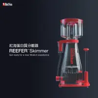 在飛比找蝦皮購物優惠-[楊媽媽海水] 分期零利率Red Sea REEFER Sk