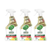 Pine O Cleen 24H Protection Disinfectant Lemon Lime 500mL