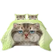 Adorable Cats Displeased Puffy Kitten Coverlet