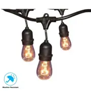 12-Light 24 ft. Black Commercial Incandescent String Decorative Lighting Lamp