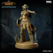 Fighter- Shelara Miniature Fits D&D Pathfinder Forgotten Realms War TTRPG