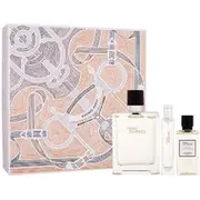 Hermès Terre d'Hermes Gift Set Eau De Toilette Men 100 ml, miniature Eau de Toilette 15 ml and shower gel 40 ml