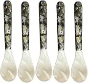 Caviar Spoons with Round Handles - Pearl Spoon for Caviar | Caviar Server Decorative Spoon, 5 Pieces Mother of Pearl Spoon, Caviar Server Decorative Caviar Spoons for Caviar Egg Ice Cream