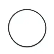 Genuine Casio Watch Case O-Ring 10393903 fits MRW-200H, MRW-200HC