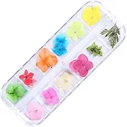 Beauties Factory 12 Color Nail Art Dried Flower Petals and Leaves Floral 3D Decals, Natural Style Design Tips Decorations Box Set Kit Blossom Manicure DIY (Style D)