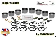 Kawasaki GTR1400 CEF 2014 front brake caliper piston & seal stainless kit ZG1400