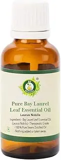Bay Laurel Leaf Essential Oil | Laurus Nobilis | Bay Laurel Essential Oil | 100% Pure Natural | Steam Distilled | Therapeutic Grade | 10ml | 0.338oz By R V Essential